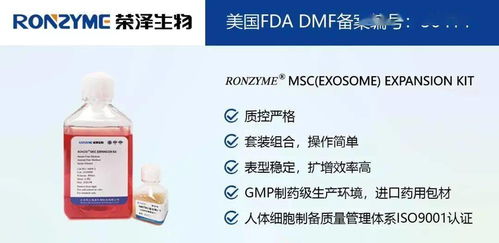 榮澤集團 市場調查成就斐然，穩健前行再譜新篇